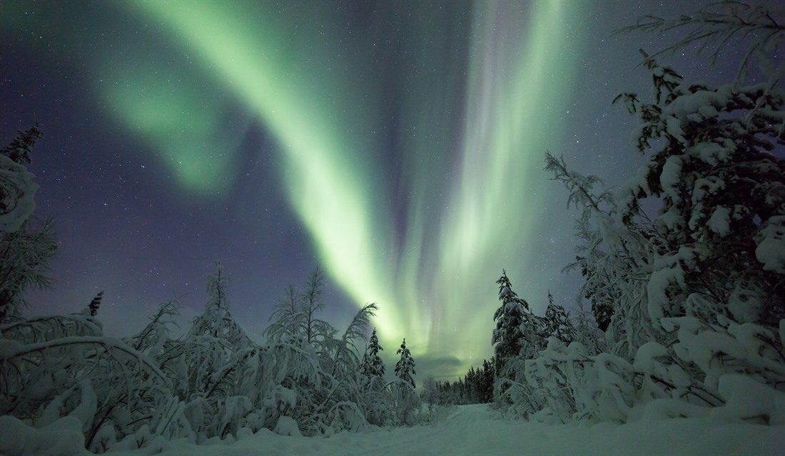 Five of the best winter activities in Finnish Lapland : Section 7