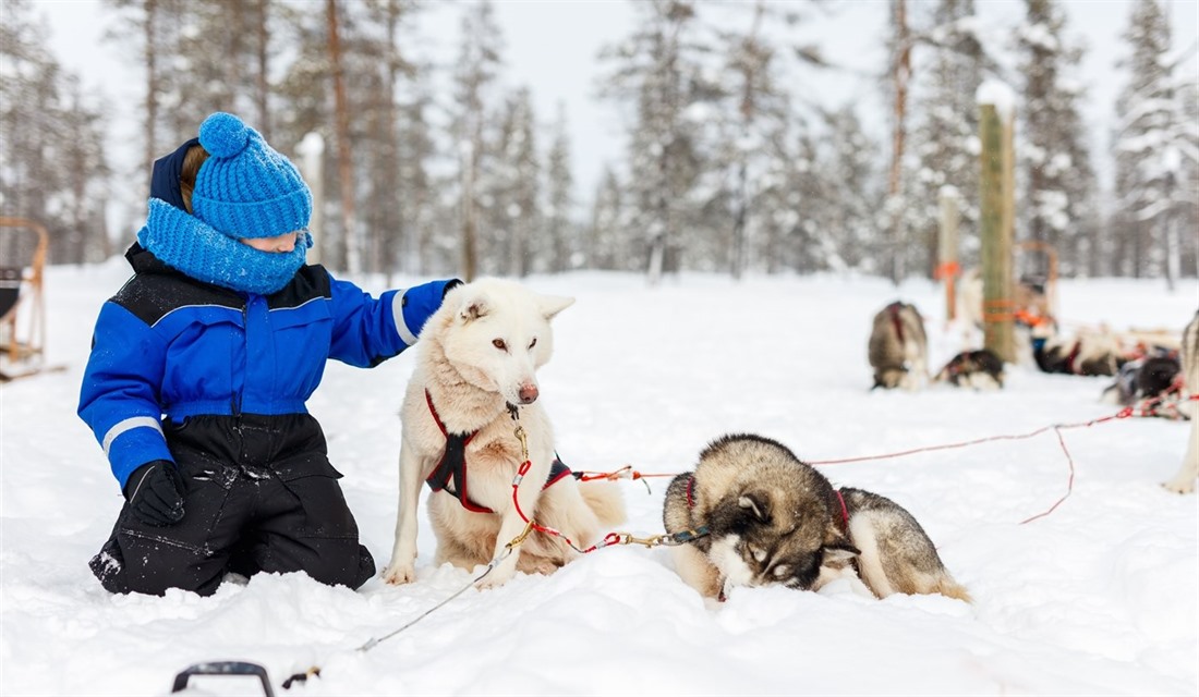 Guide to Lapland Winter Holidays; where to go and what to do : Section 2