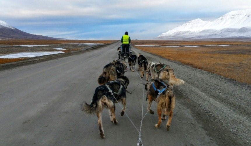 Top Five Summer Experiences in Svalbard  : Section 4