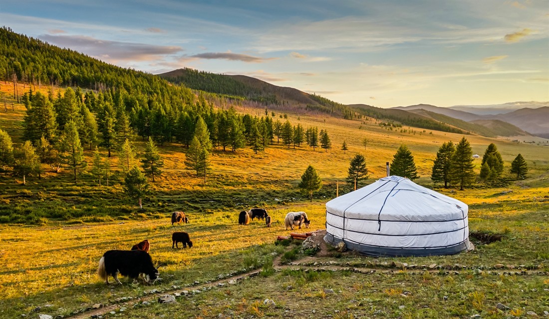 Five amazing things to do in Mongolia : Section 2