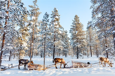 The Best Non-Christmas Activities in Lapland