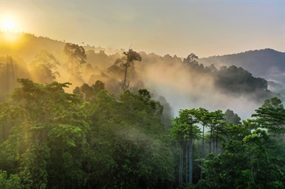 Discovering the Best of Borneo 