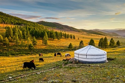 Five amazing things to do in Mongolia