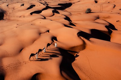 Oman Desert Tours: 10 Things to See & Do
