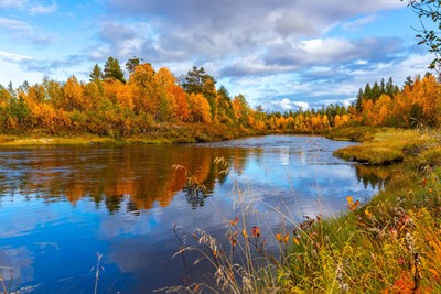 The Secret Seasons: Summer and Autumn in Lapland
