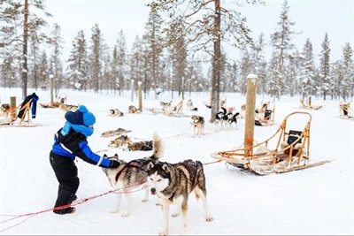 Guide to Lapland Winter Holidays; where to go and what to do