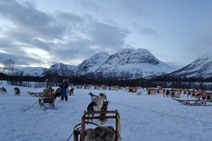 Dog sled yard near Tromso