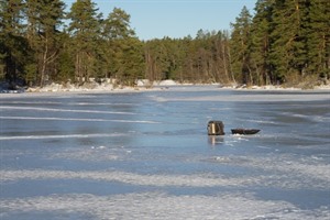 Ice Fishing 3