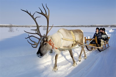 Reindeer Safari to Ice Fishing Lake