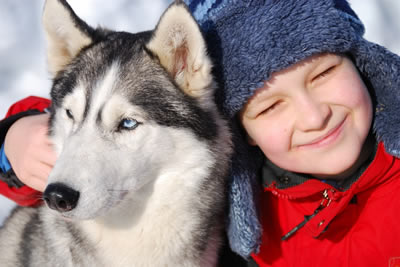 Family Fun Day - Reindeer, huskies & Snow fun