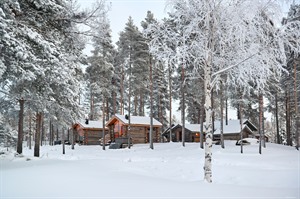 Snowy scenes at Arctic Retreat