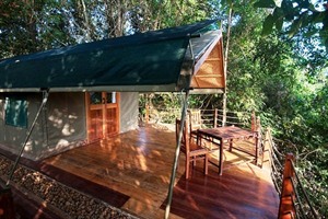 Forest Floor Lodge - Safari-style tent