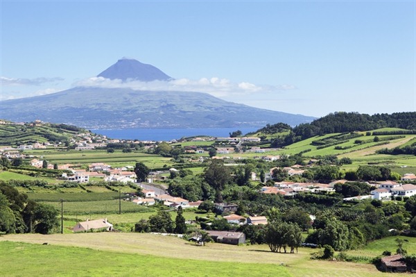FREE DAY ON FAIAL ISLAND 