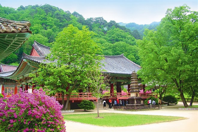 19th February - Panmunjom