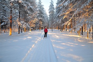 Cross-country skiing at the Arctic Retreat