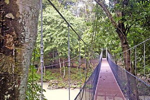 Tabin Wildlife Reserve suspended walkway