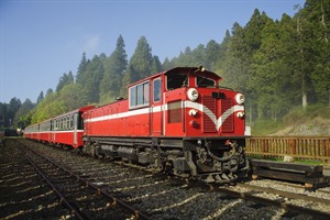 Red Forest Train, Alishan National Scenic Area