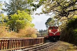 Alishan Forest Train,Taiwan