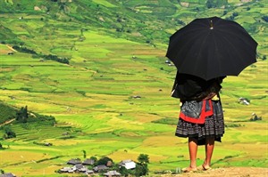 H'mong woman overlooks the rice terraces