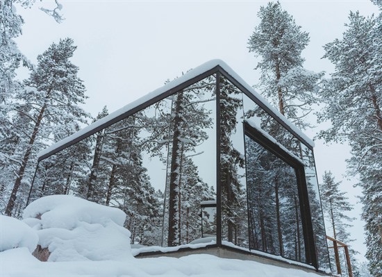 Invisible Forest Lodge Winter Break