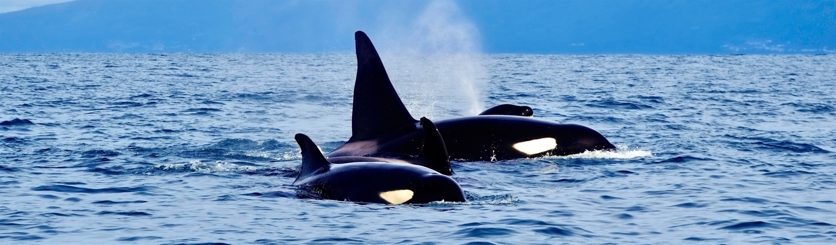 The Best Destinations for Small Group Trips