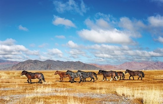 Crossing Mongolia on the Tsar’s Gold