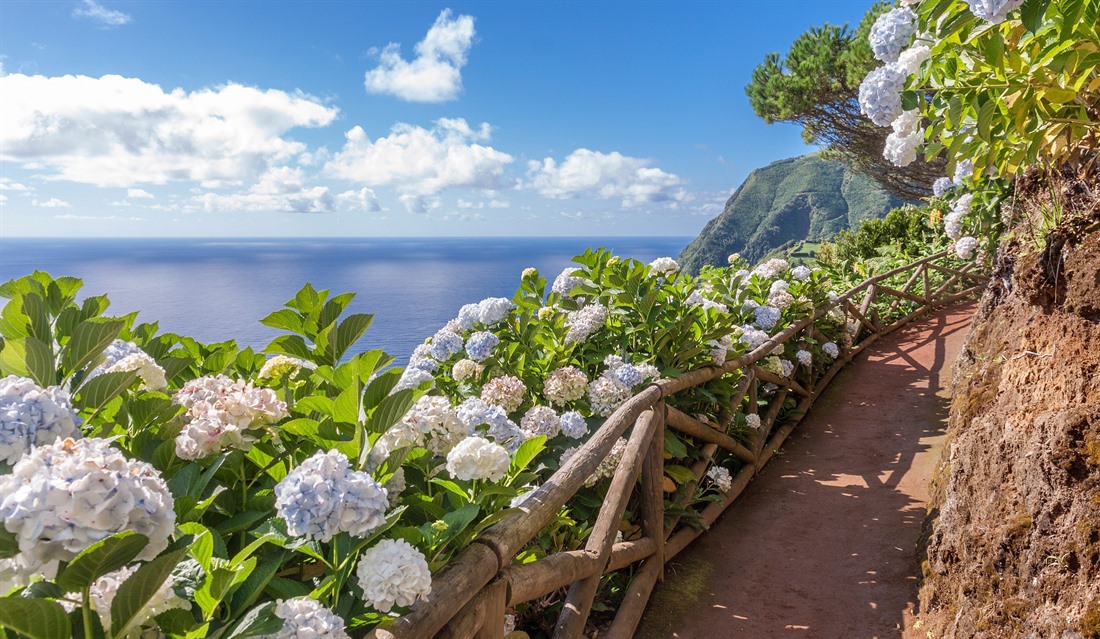 All about the Azores : Section 6