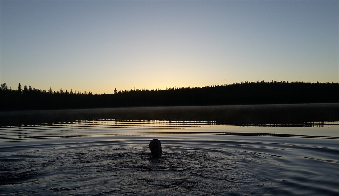Summer in Finland: Lapland is not just for Christmas : Section 4