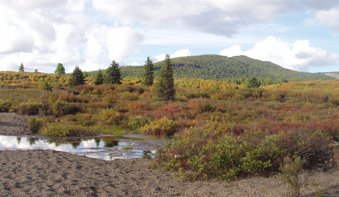 The Khan Khentii Mountains, Mongolia