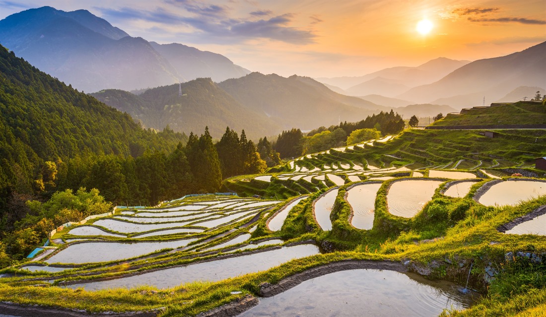 Sunset over rice terraces near Maruyama-senmaida in Kumano prefecture