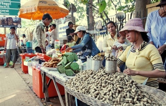 Discover the Cambodia water festival : Section 2