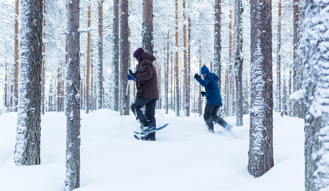 Snowshoeing at Logger's Lodge