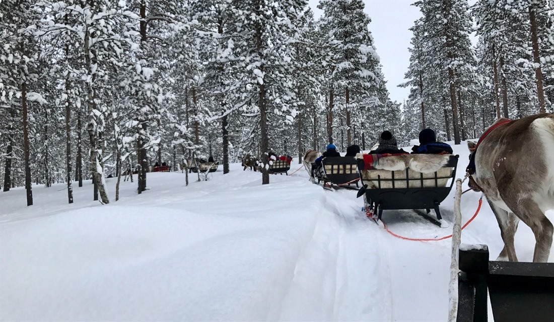 Reindeer Safari © Javri Lodge