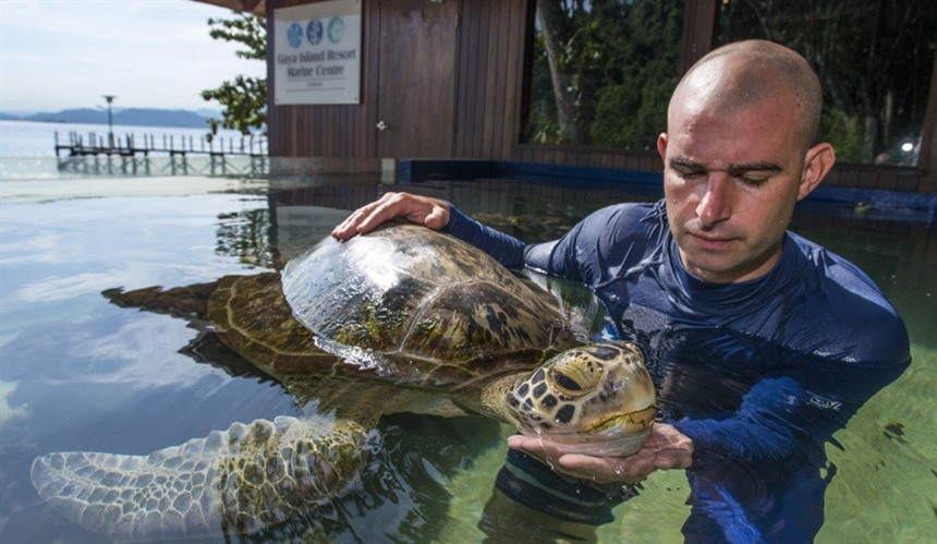 Gaya Island Resort Marine Centre