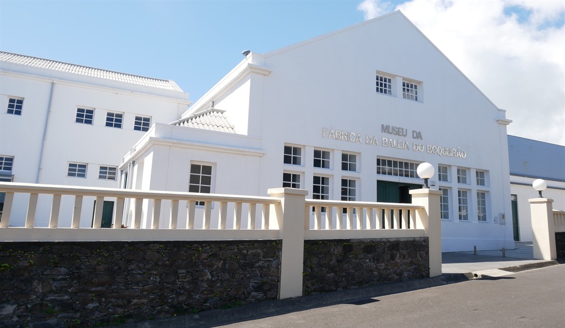 Whale Watching Museum on Flores