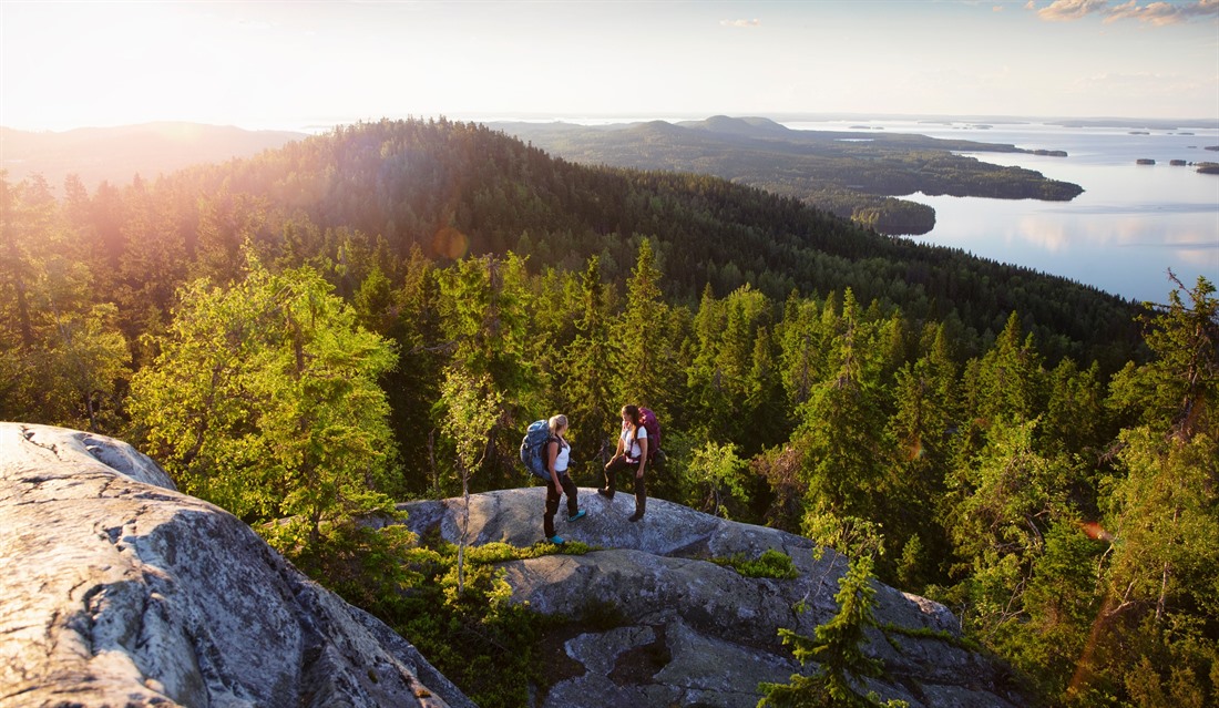 Koli National Park