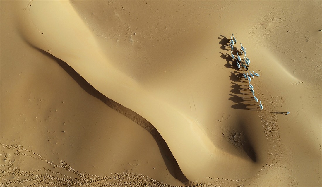 Desert near Riyadh, Saudi Arabia - © Visit Saudi