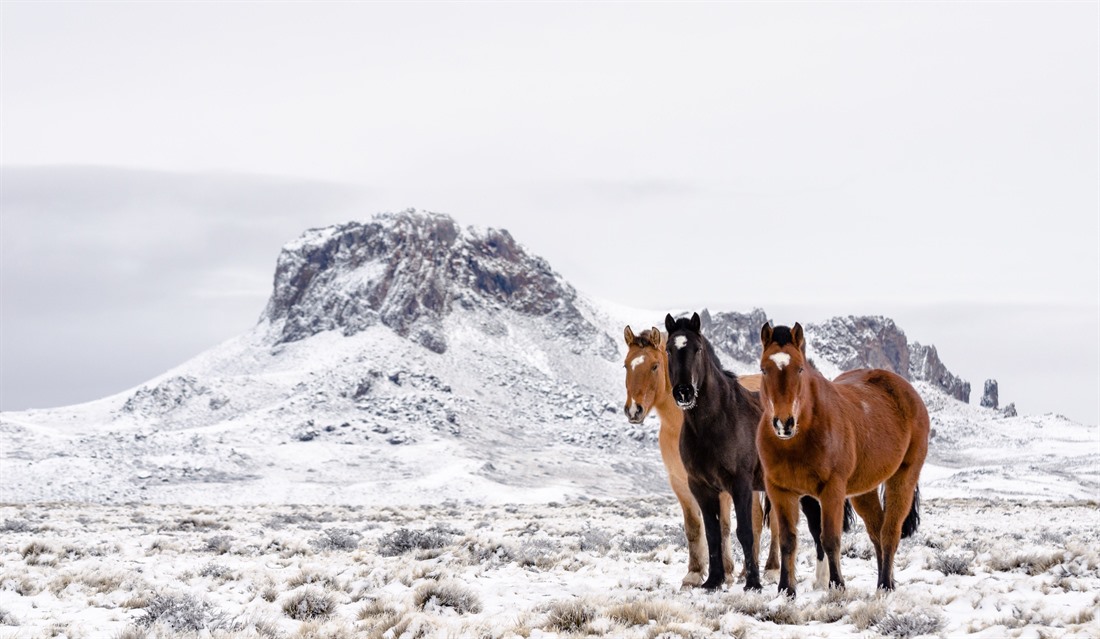 The Best Places to Propose in Iceland : Section 9