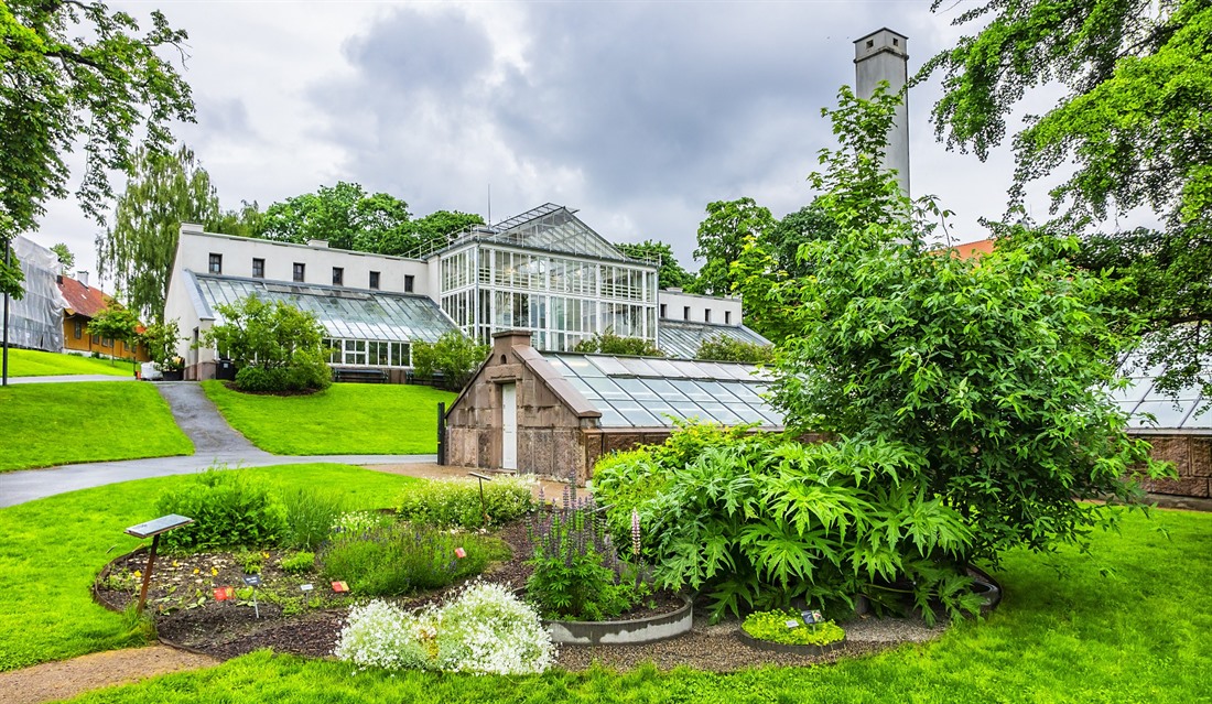 Oslo's beautiful Botanical Garden