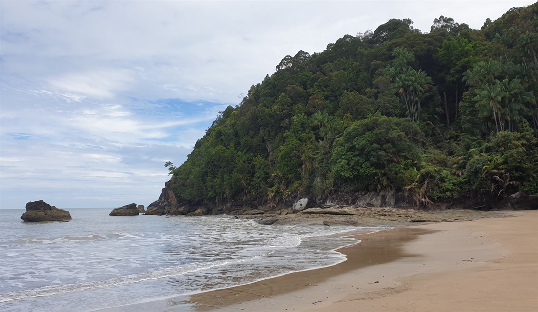 The coast of Bako National Park