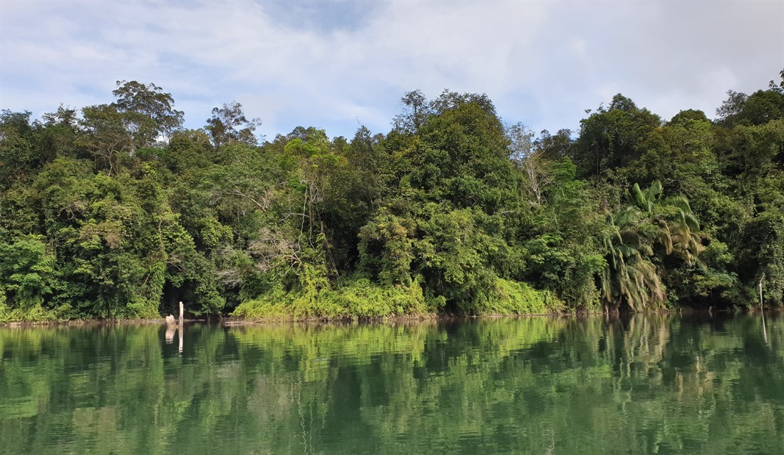 Kinabalu National Park