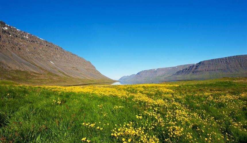 Iceland's West Fjords