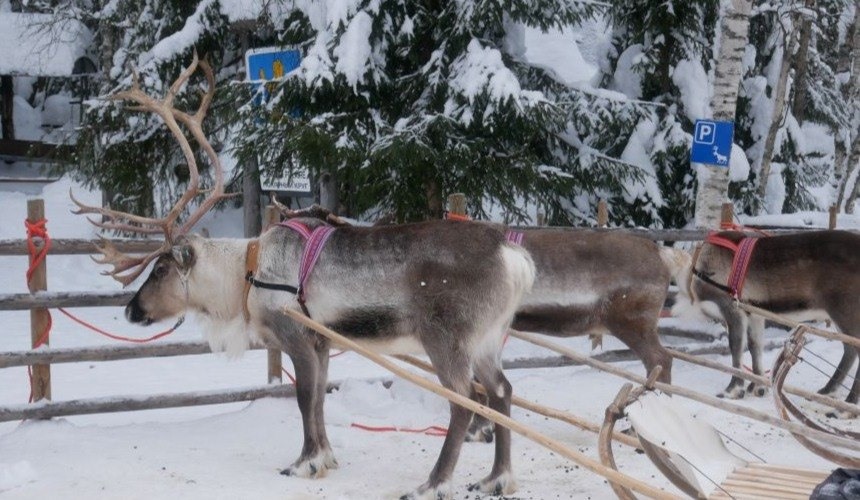 The Best Non-Christmas Activities in Lapland : Section 3