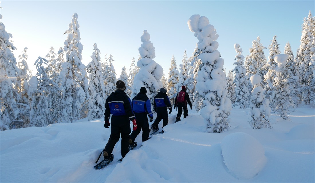The Best Non-Christmas Activities in Lapland : Section 4