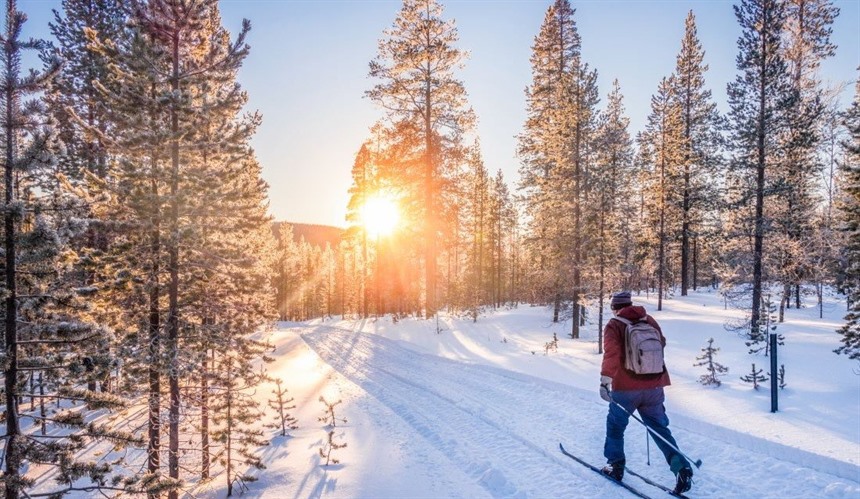 The Best Non-Christmas Activities in Lapland : Section 5