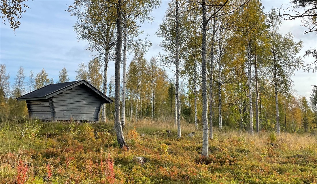 Why You Should Experience Autumn in Finland : Section 2