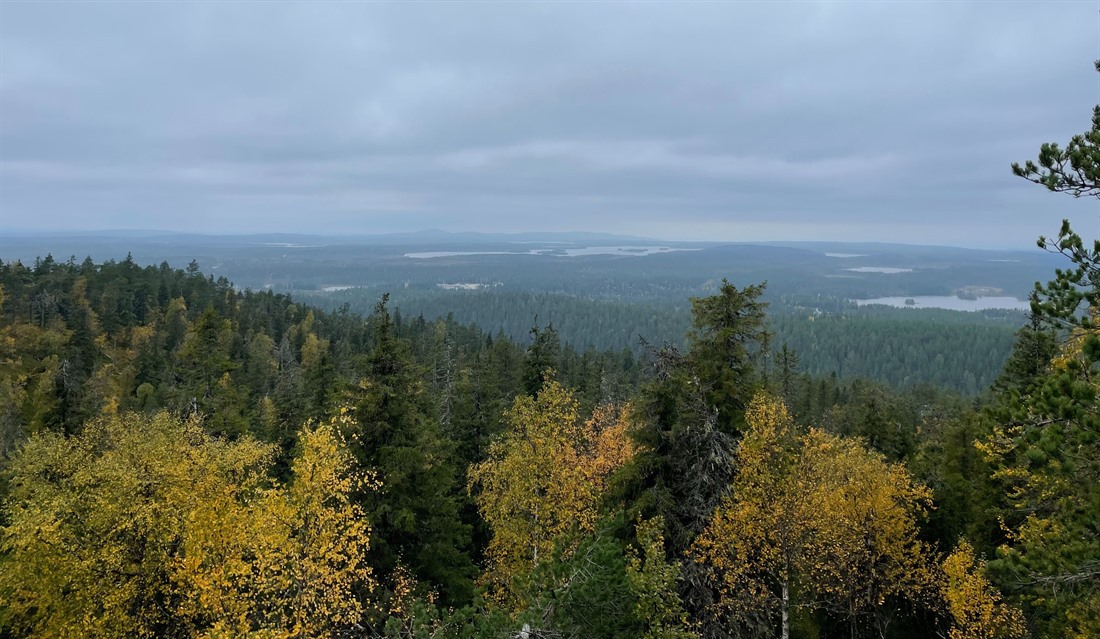 Why You Should Experience Autumn in Finland : Section 5