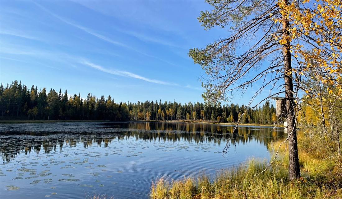 Why You Should Experience Autumn in Finland : Section 9