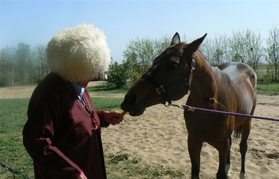 Discovering the Akhal-teke horses of Turkmenistan : Section 3