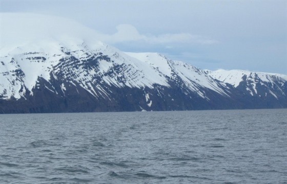 Searching for whales in Iceland : Section 2